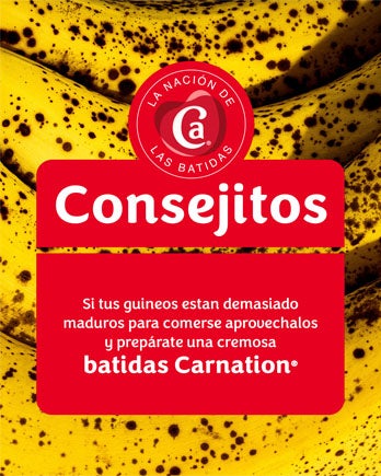 Consejitos TropiCarnation