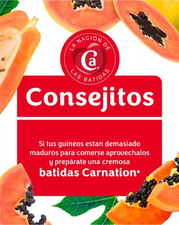 Consejitos TropiCarnation