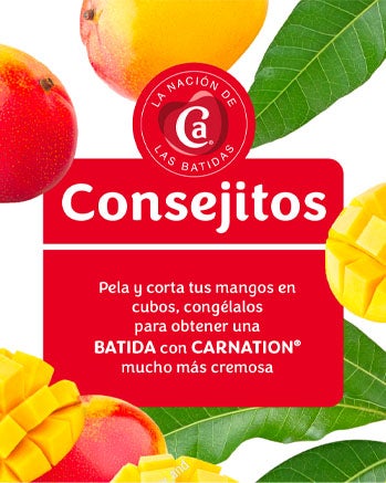 Consejitos TropiCarnation