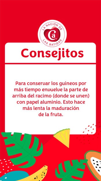 Consejitos TropiCarnation