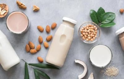 Bebidas con plantas blog
