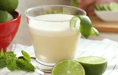 Batida de Mojito Batida de Mojito