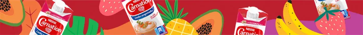 Banner - batidas con carnation®